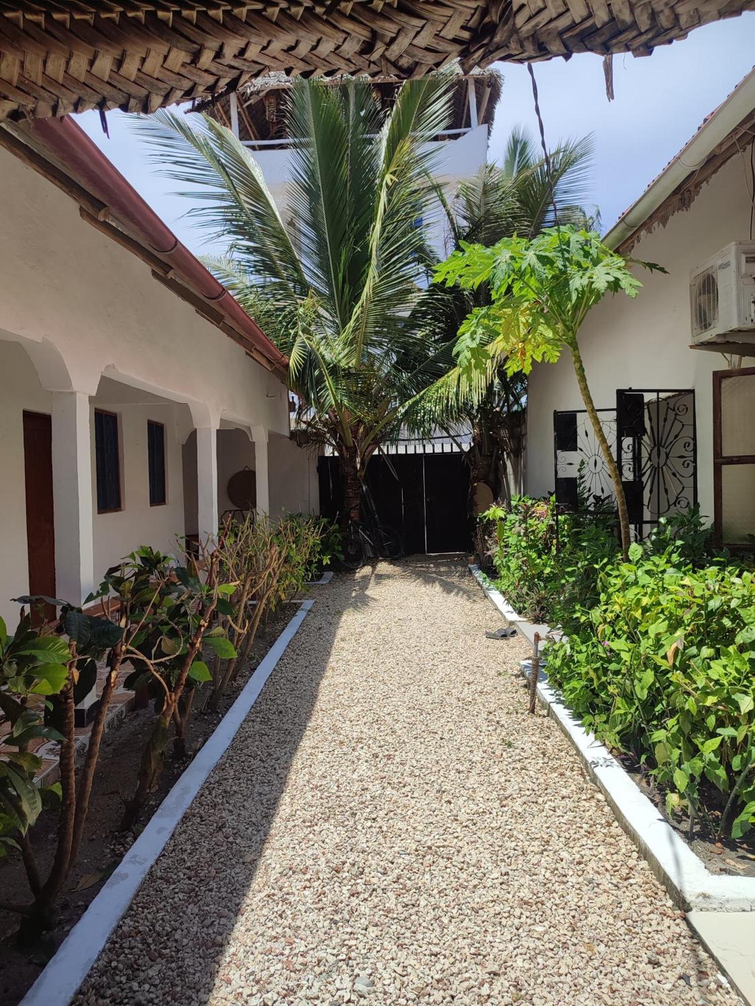 Bed and Breakfast Fish House Nungwi Esterno foto