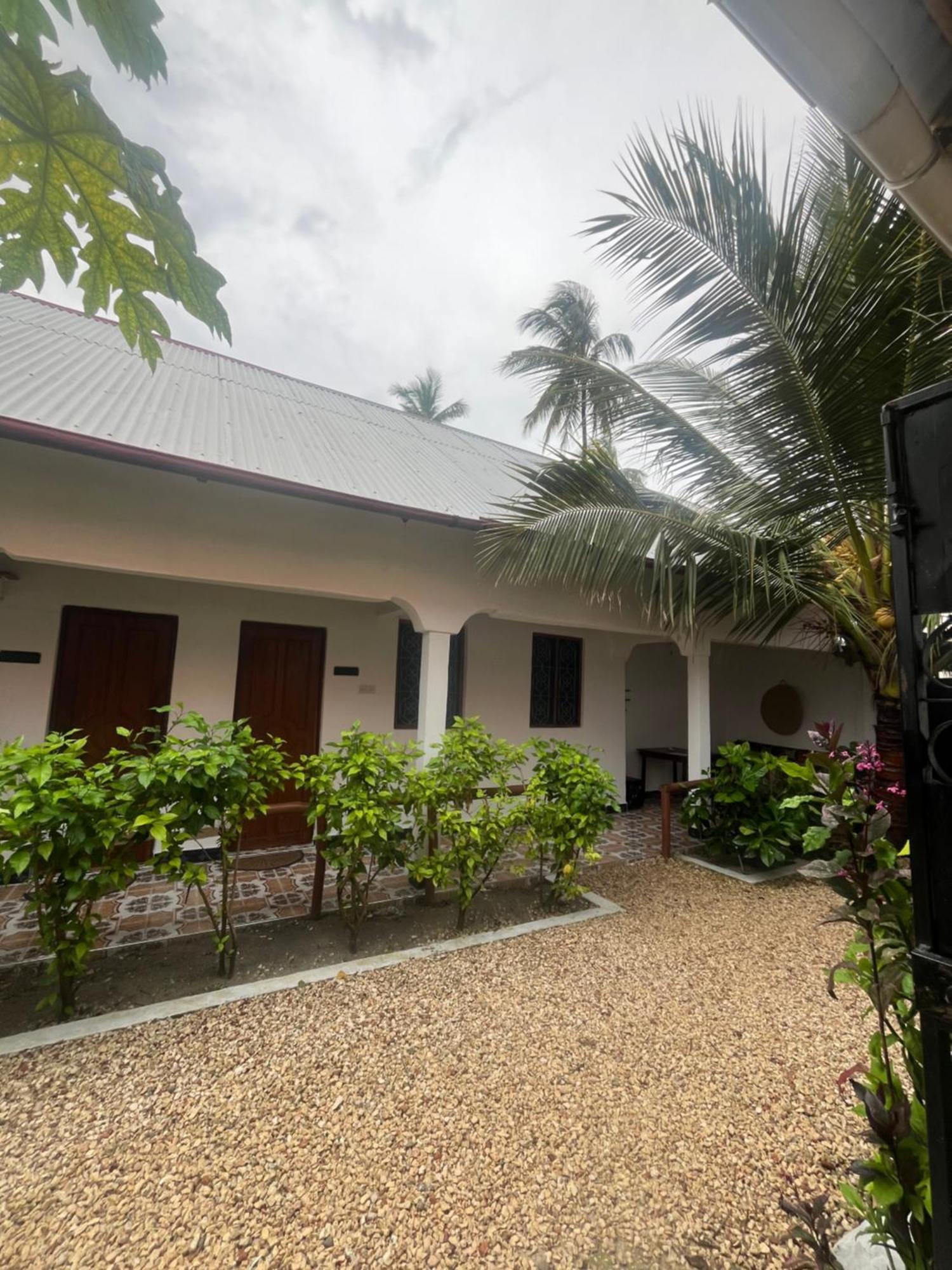 Bed and Breakfast Fish House Nungwi Esterno foto